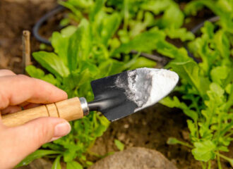 Broad-Spectrum Fungicide