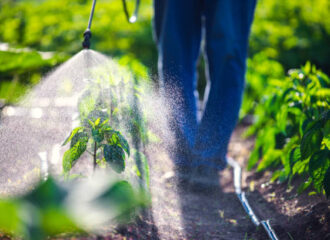 shriram herbicides for crops