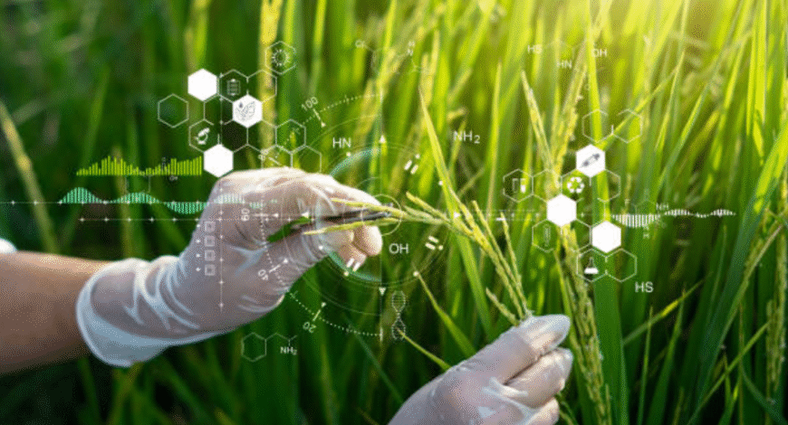 Advanced Seed Technologies