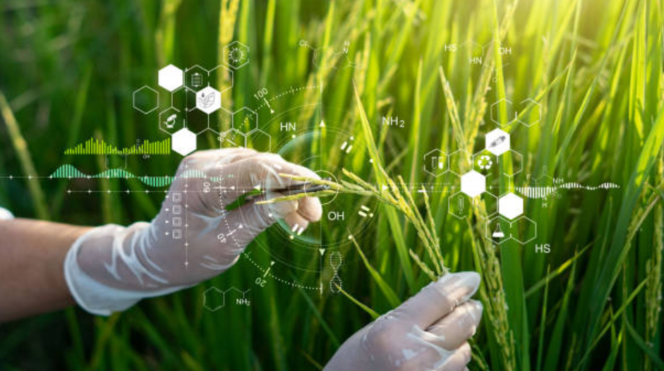 Advanced Seed Technologies