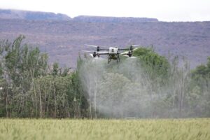 indian fertilizer company