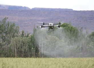 indian fertilizer company