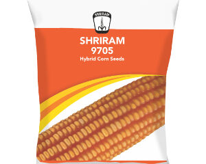 Shriram 9705