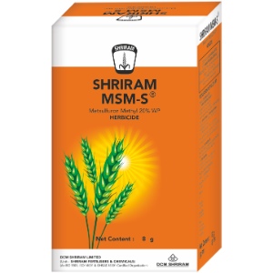 Shriram MSM S