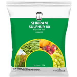 Shriram Sulphur 80