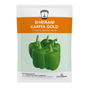 Shriram Kamya Gold