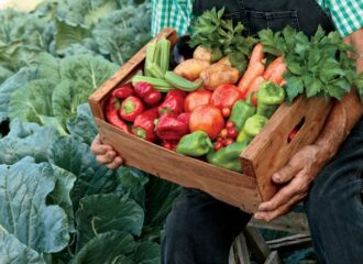 Indian fertilizer company