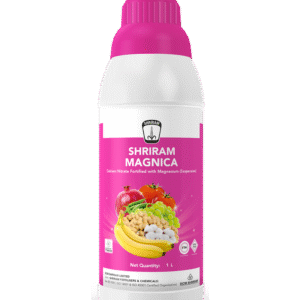 Shriram Magnica