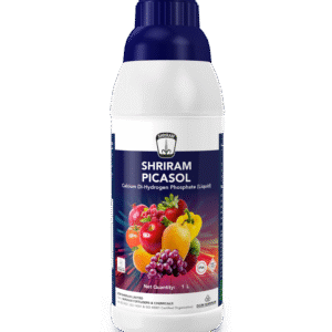 Shriram Picasol