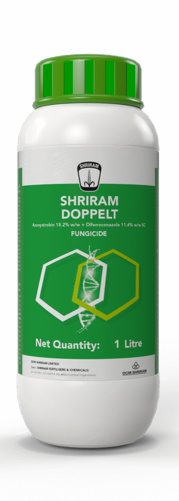 Shriram DoppeIt