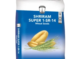 Shriram Super 1-SR-14
