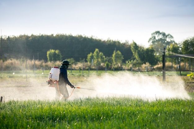 Biopesticides vs. Chemical Pesticides