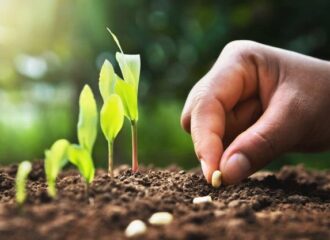 Seed Technology Innovations