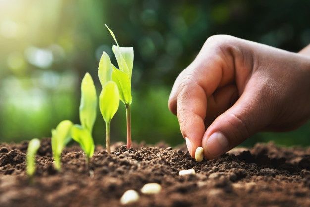 Seed Technology Innovations