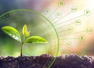 Seed Science and Technology
