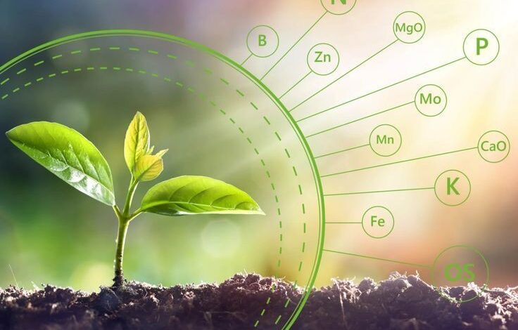 Seed Science and Technology