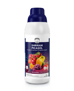 Shriram Picasol