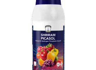 Shriram Picasol