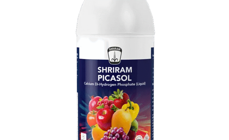 Shriram Picasol