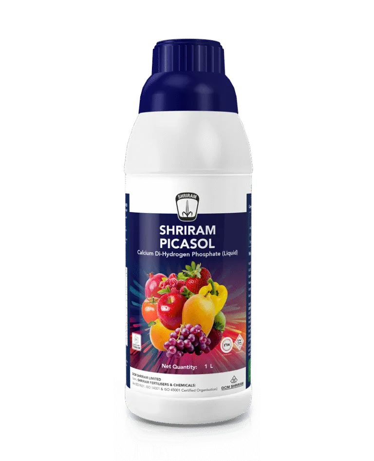 Shriram Picasol
