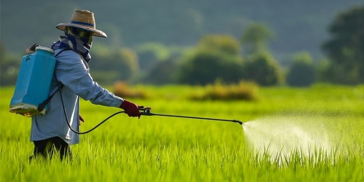 Biopesticide Products
