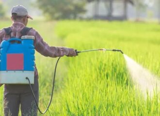 Indian Fertilizer Company