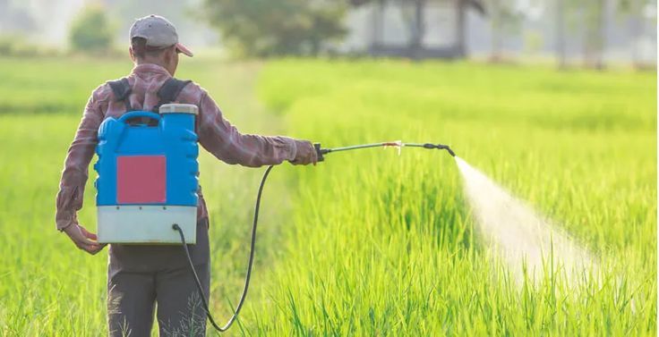 Indian Fertilizer Company