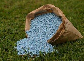 Nano Fertilizers vs Traditional Fertilizers
