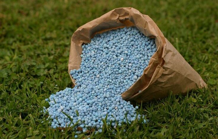 Nano Fertilizers vs Traditional Fertilizers