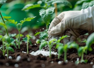 Nano fertilizers